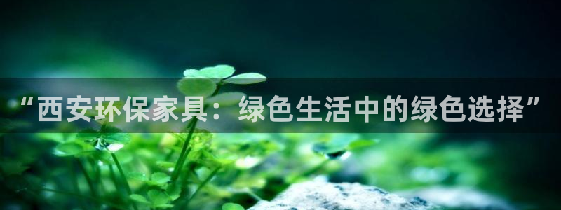 沐鸣2平台手机：“西安环保家具：绿色生活中的绿色选择”