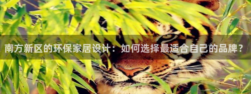 沐鸣2平台怎么样