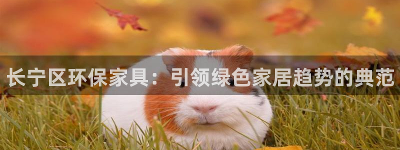 沐鸣2手机客户端：长宁区环保家具：引领绿色家居趋势的典范