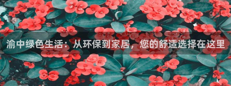 沐鸣2平台指定：渝中绿色生活：从环保到家居，您的舒适选择在这