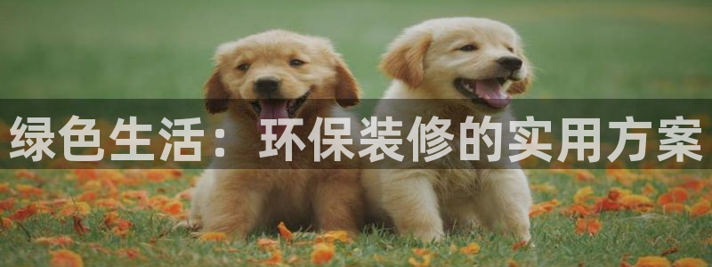 沐鸣2官网娱乐