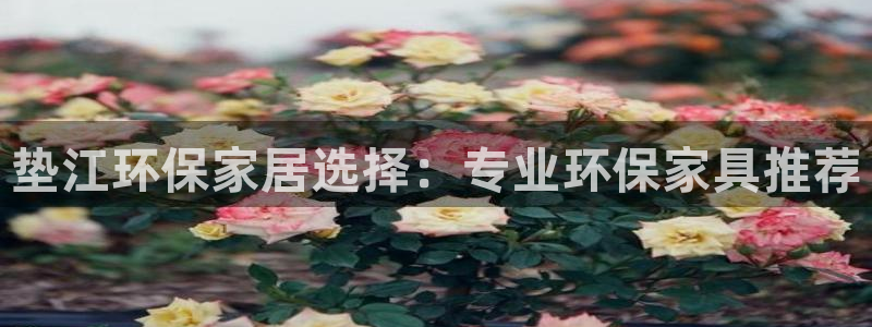 沐鸣2注册登录中心：垫江环保家居选择：专业环保家具推荐