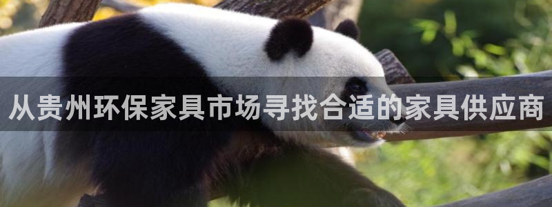 沐鸣2平台娱乐：从贵州环保家具市场寻找合适的家具供应商