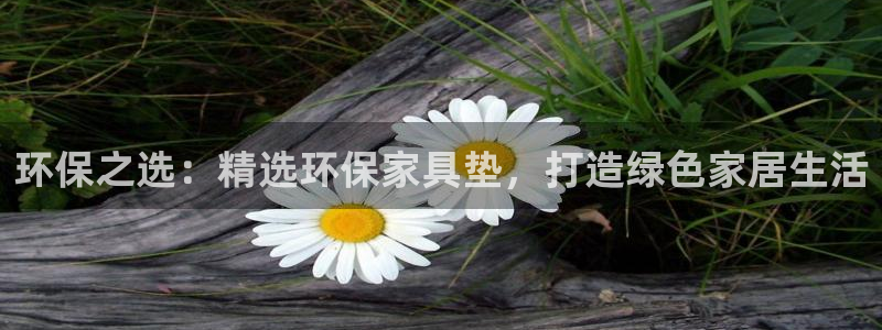 沐鸣2平台线路测速登录：环保之选：精选环保家具垫，打造绿色家