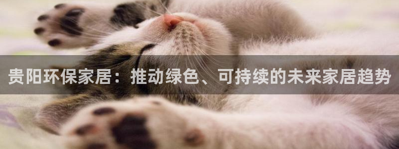 沐鸣2平台到底能玩吗：贵阳环保家居：推动绿色、可持续的未来家