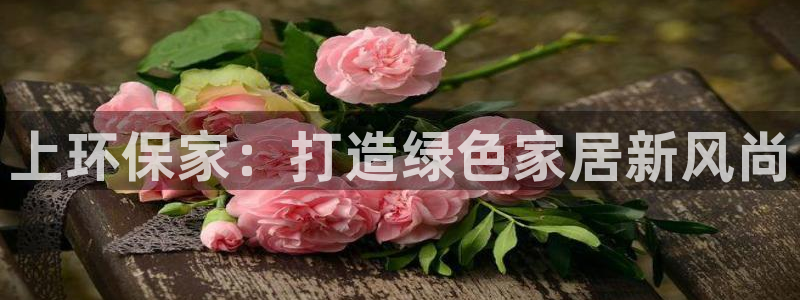 沐鸣2注册登入：上环保家：打造绿色家居新风尚