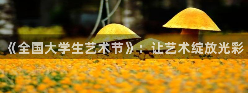 鲸鱼体育nba：《全国大学生艺术节》：让艺术绽放光彩