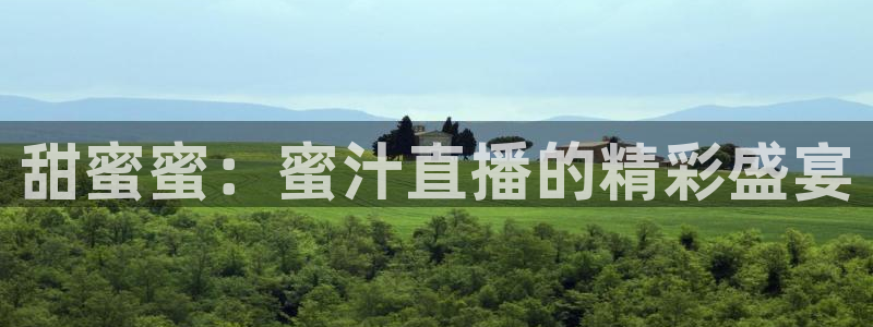 鲸鱼直播(体育直播)：甜蜜蜜：蜜汁直播的精彩盛宴