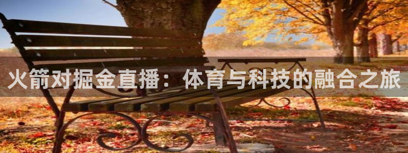鲸鱼足球直播：火箭对掘金直播：体育与科技的融合之旅