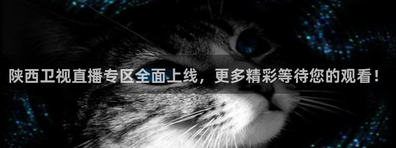鲸鱼体育免费观看官网：陕西卫视直播专区全面上线，更多精彩等待您的观看！