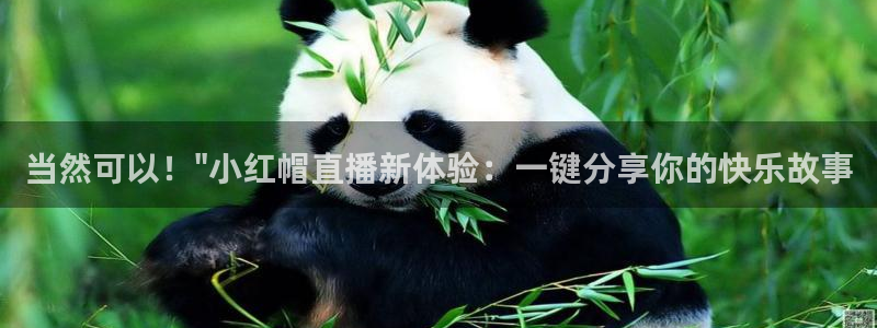 鲸鱼足球直播：当然可以！\