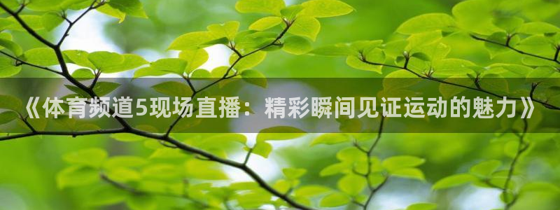 鲸鱼体育网址是什么：《体育频道5现场直播：精彩瞬间见证运动的魅力》
