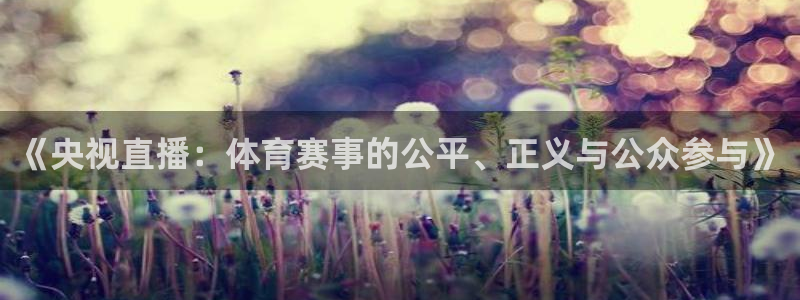 鲸鱼直播体育：《央视直播：体育赛事的公平、正义与公众参与》