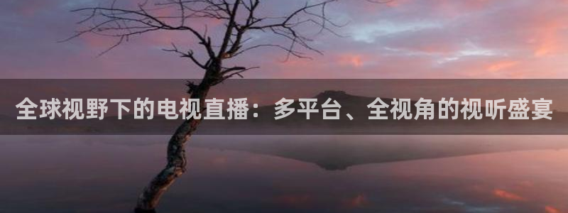 鲸鱼体育在线直播高清：全球视野下的电视直播：多平台、全视角的视听盛宴